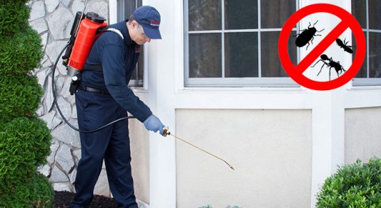 Aksaray Kemirgen İlaçlama böcek ilaçlama ve haşere kontrolü — ilaclama-tr.com